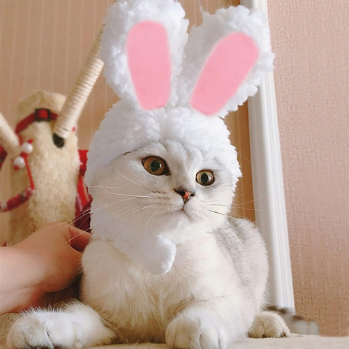 Disfraz De Conejo Para Gato O Perro Mini Pascuas Halowen
