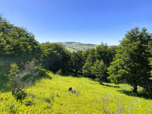 Coyhaique (64864)