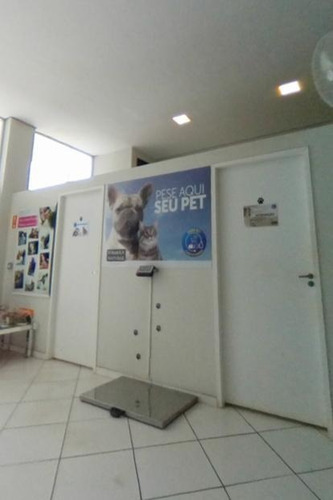 Imagem 4 de 11 de Pet Shop Com Taxi Dog Em Paulinia