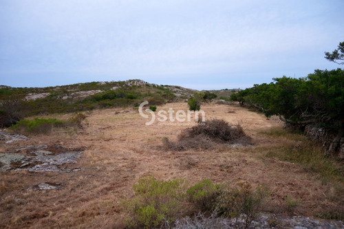 Imagen 8 de 30 de Venta Chacra, Paso Dutra, Maldonado.