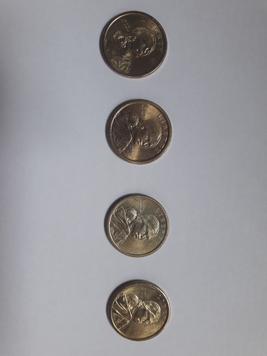 Moneda Dolar Usa:  Dolar De Oro Sacagawea 