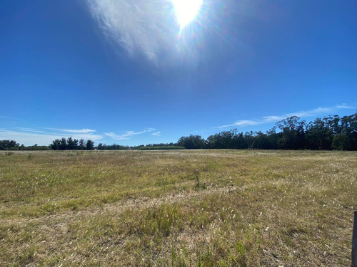 Imagen 2 de 14 de Latorre Prop. Vende Una Hectarea En La Zona De Parque Camet