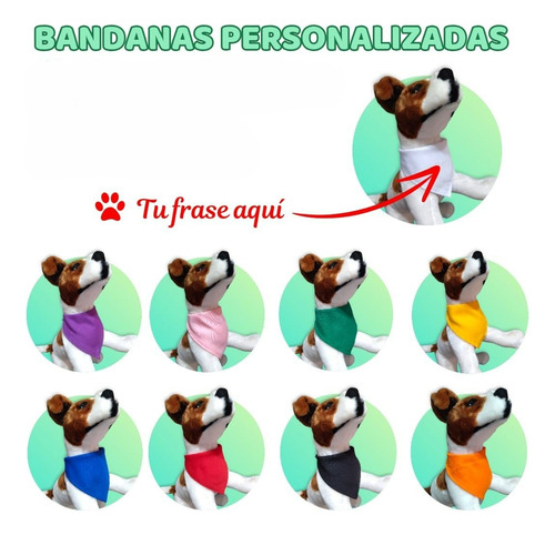 Paliacate Para Mascota Personalizado