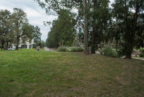 Imagen 2 de 14 de Venta De Amplio Lote, En Saint Thomas Oeste, Canning