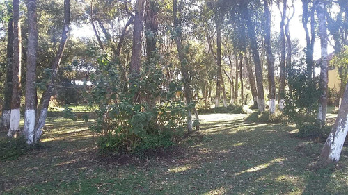 Chácara Com 6 Dormitórios À Venda, 11518 M² Por R$ 3.240.000,00 - Umbará - Curitiba/pr - Ch0020