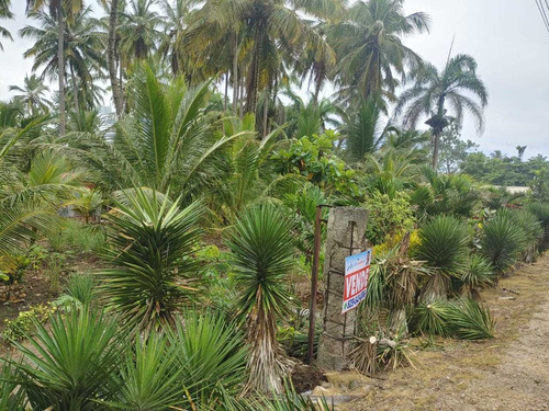 Se Vende En Nagua