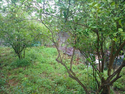 Imagen 7 de 7 de Terreno En Venta Salina Cruz