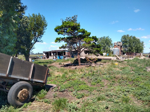 Imagen 8 de 30 de Latorre Prop Vende Campo De 34 Hectareas En Cobo