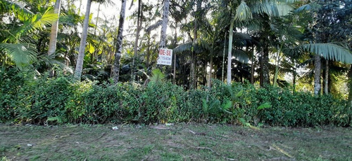 Chácara No Rio Do Nunes - Antonina/pr - Ch0134