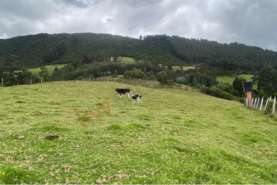 Lote y casalote en venta