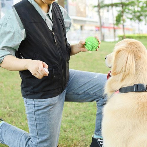 Ml Chaleco De Entrenamiento Para Adiestramiento De Perros, M