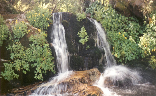 Agrícola Forestal - Inmobiliario En Venta En Tucapel