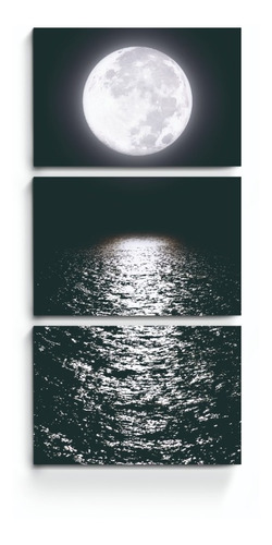Cuadros Tripticos Impresos Abrstracto Moderno Luna