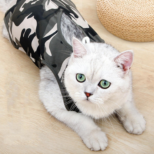 Traje De Recuperación Para Gatos Ropa Para Gatos M