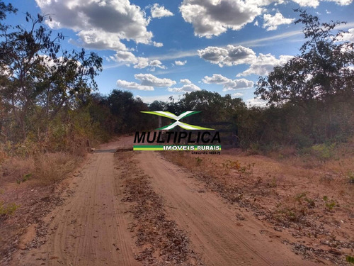 Imagem 5 de 15 de Fazenda 102,22 Hectares, R$ 2.788,10 Ha, Santa Fé De Minas Mg, Pecuária, - 442