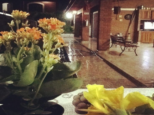 Imagem 10 de 23 de Chacara - Ch00020 - 3126418
