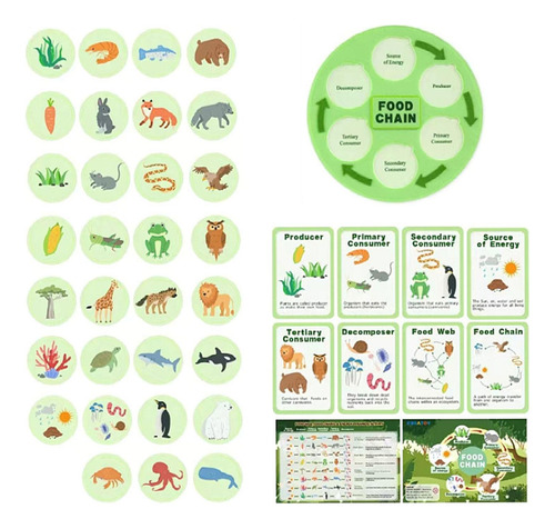 Ciclo De Vida Da Cadeia Alimentar Kit Party Favors Science
