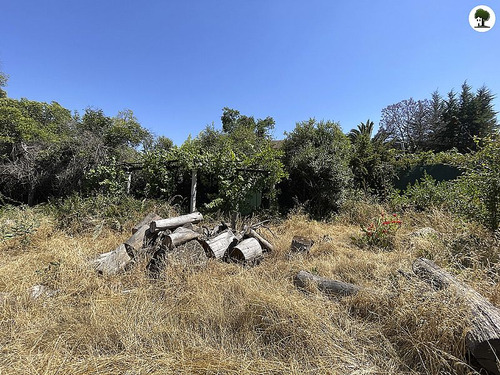 Sitio Para Proyecto Inmobiliario En La Reina