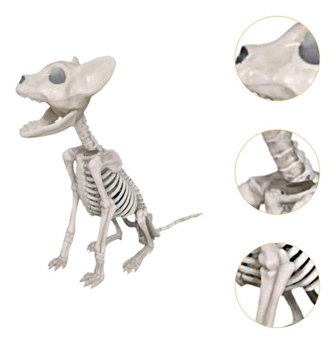 Decoração De Halloween De Gato Esqueleto, Osso De Animal,