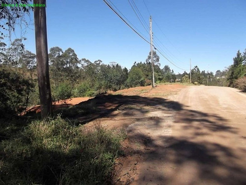 Terreno - Te00070 - 69474039