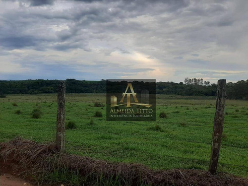 Imagem 20 de 30 de Excelente Sitio Para Venda Em Quadra - Sp - Confira!!!! - Si0010