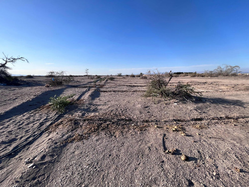 Gran Oportunidad De Inversión,parcelas En Venta En Latirana