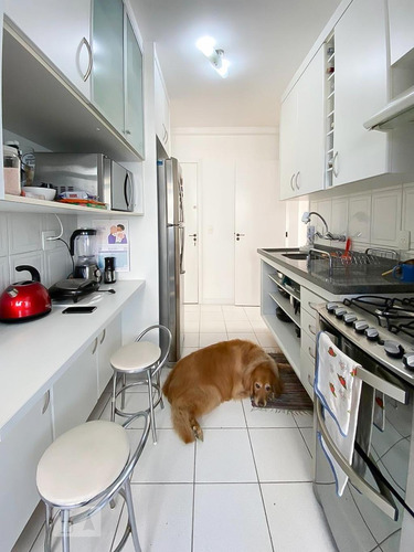 Apartamento À Venda - Vila Mascote, 3 Quartos, 78 - S893113814