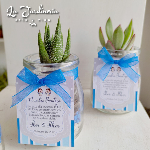 Imagen 8 de 10 de Recuerdos Souvenirs Plantas Vivas Terrarios