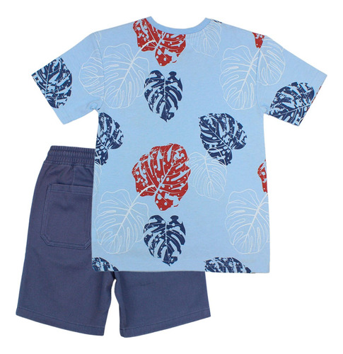 Conjunto Oasis Celeste Ficcus