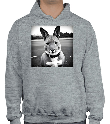 Sudadera Con Gorro - Conejo Tigre Con Collar