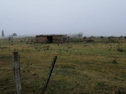 Imagen 20 de 20 de Chacra 4.5 Has Con 2 Casa En Venta - Ruta 66 Km 24 200 Toledo Chico