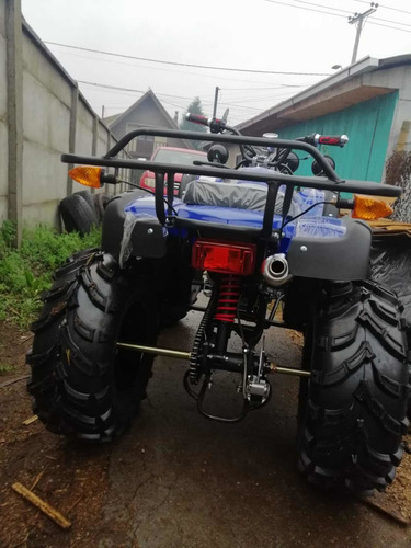 Imagen 2 de 10 de Cuatrimoto Atv Motor 250