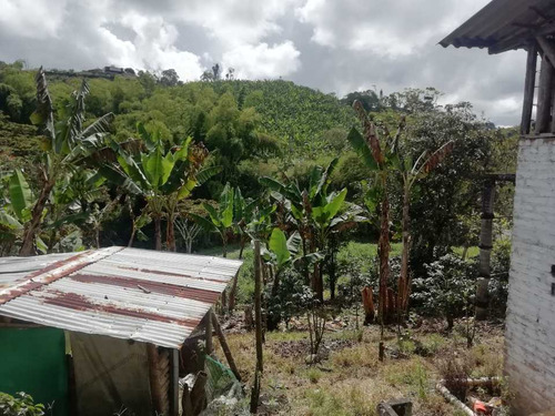 Imagen 5 de 30 de Vendo Finca En Avenida Condina Precio De Oportunidad