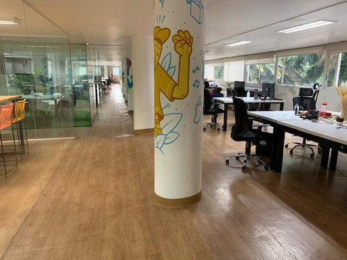 Imagen 8 de 14 de Polanco Vendo Oficina Masaryk De 600m2, Vigilancia, Acondici