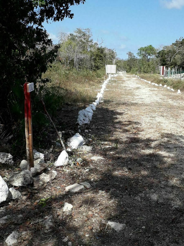 Imagen 8 de 9 de Terreno En Venta De 1,600 M2, Región 11 Mza 875