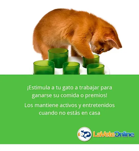 Catit digger top