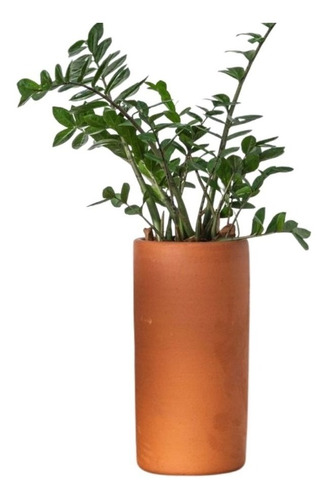 Vaso De Barro Para Plantas Cilindro Alto Cerâmica N1