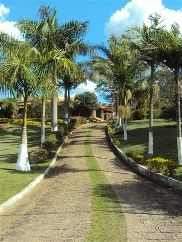 Imagem 25 de 30 de Area - Ar00019 - 1515828