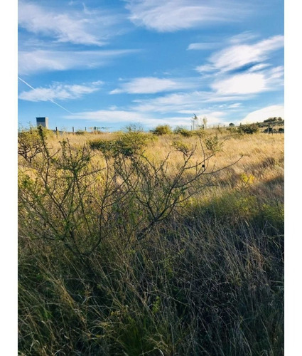 Imagen 3 de 5 de Vendo Terreno 800m2 En Valle Del Sol