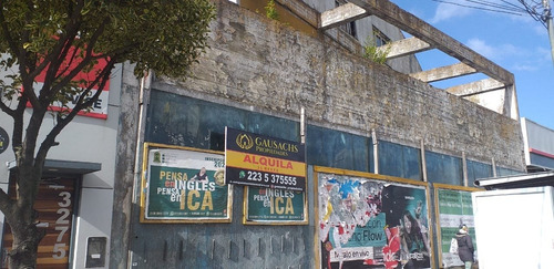 Imagen 1 de 21 de Alquiler Local S-avenida