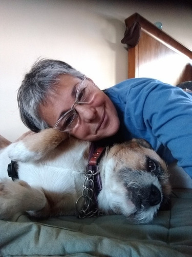 Imagen 3 de 3 de Guardería Canina Sin Caniles En Recoleta