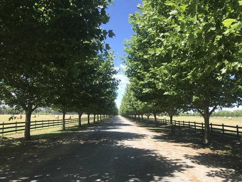 Imagen 7 de 30 de Exclusividad Lanzamiento Lote En Technopolo En Gral Rodriguez Capital Del Polo Argentino