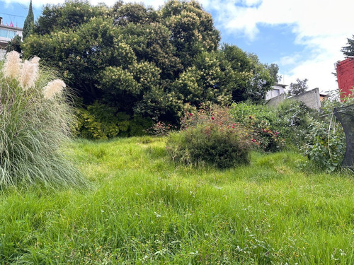 Terreno En Renta En La Magdalena