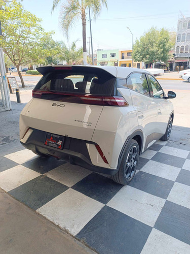 Byd Dolphyn