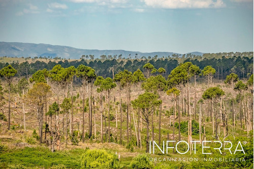 Imagen 7 de 13 de Loteo Villa Yacanto. Portales Del Champaqui. Córdoba
