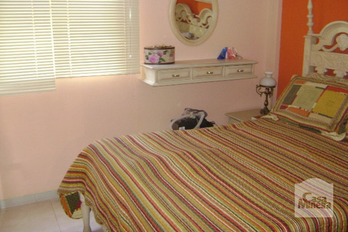 Imagem 8 de 12 de Apartamento À Venda No Floresta - Código 229993 - 229993