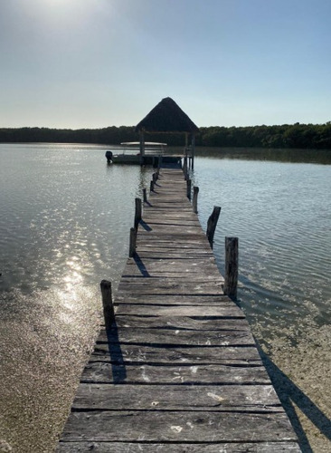 Venta De Terreno En La Reserva De Celestún