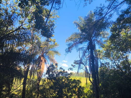 Vendo Chalé Alto Padrão Em Poços De Caldas Mg