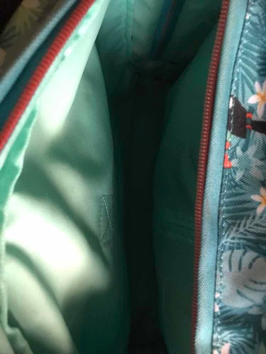 Vendo Mochila Carrito Delsey ! Está En Excelente Estado !