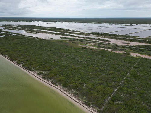 Terreno En Venta, Frente A Playa En San Crisanto, Yucatán